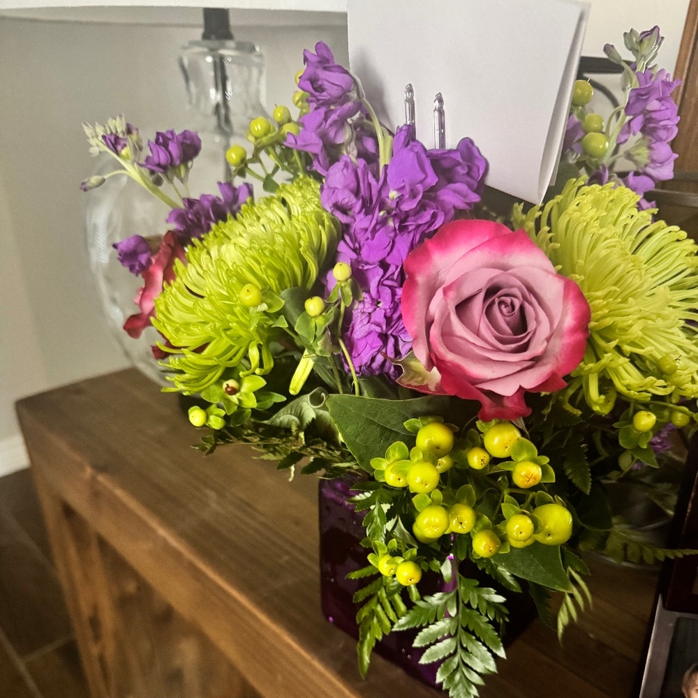 Meet your Posher, Rose